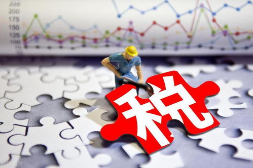 以稅收賦能市場主體 以服務(wù)激活經(jīng)濟(jì)脈動——新時(shí)代社會經(jīng)濟(jì)咨詢服務(wù)的實(shí)踐路徑